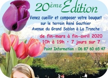 Affiche sur la cueillette annulée des tulipes du Lyons Club